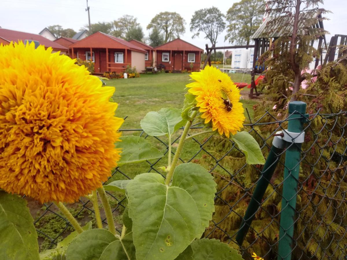 Agroturystyka Domki Eden Sarbinowo Luaran gambar